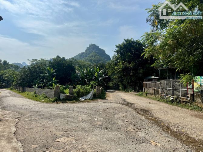 965m Có 100m Đất Ở, Bám Đường Bê Tông, Bám Suối, Cạnh Khu SInh Thái An Lạc Ecofarm, VeNus - 8