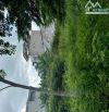 Đât phân lô, Bưng Ông Thoàn, 450m2, đường 10m, ngay Liên Phường, giá 18.5ty