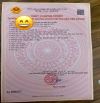739m Có 100m Đất Ở - Lô Góc 2 Mặt Tiền - Trên Đất Trồng Sẵn Bưởi