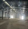 Cho thuê 2500m2 nhà xưởng mới dựng có PCCC trong ccn quất động