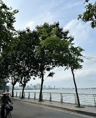 BÁN NHANH LÔ ĐẤT PHỐ VÕNG THỊ QUẬN TÂY HỒ-DIỆN TÍCH 169M2 MẶT TIỀN 13M2-GIÁ ĐẦU TƯ 47.5 TỶ