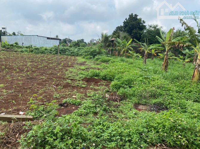🅿️❇️Đất mặt tiền Ka8, Eatu, Phường Tân An, cách Vành Đai 140m, 1,3 Tỷ, 6x21m❇️