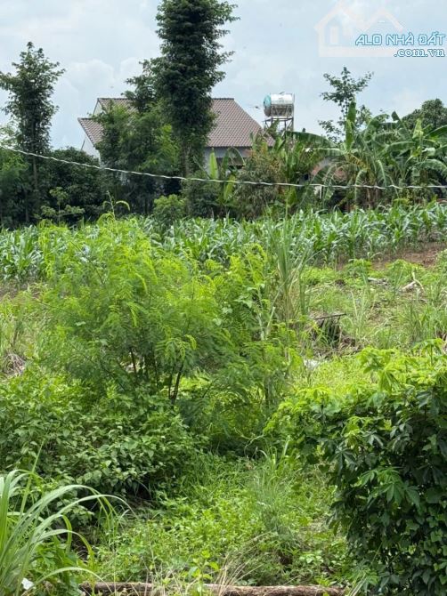 View suối tại Đá Bạc Châu Đức Bà Rịa - Giá Bán: 1 tỷ 180 triệu với DT: 1.000m2