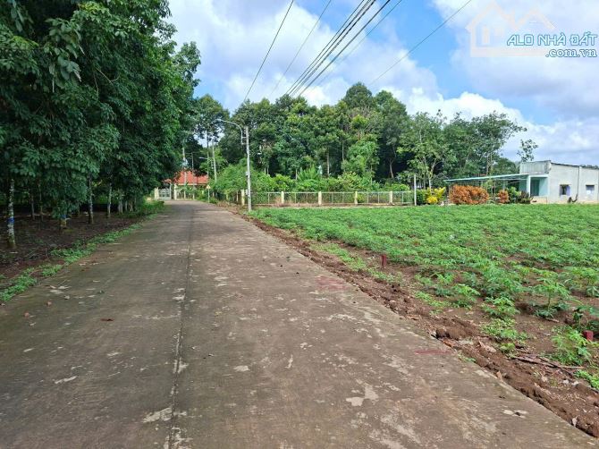 Chủ bán nhanh đất ngay sau lưng UBND xã An Linh, 350m2 Gía 530tr - Đất HCM