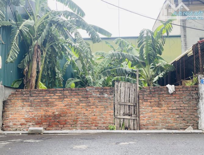 GIÁ MỀM – BAO QUANH DỰ ÁN TRIỆU ĐÔ - NỞ HẬU TỤ LỘC – ĐẤT VÀNG TRONG ĐÊ VÕNG LA, CHỈ 5.4 TỶ