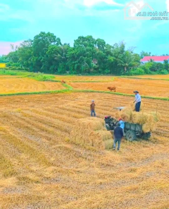 Quá Ngộp, 190m2 đất thổ cư đường ô tô KDC Tân Trụ, 379tr