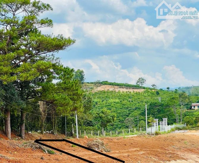 Bán đất thổ cư tại Nam Hà, Lâm Đồng . Vị trí cực đẹp . Giá 680 triệu , 469m2