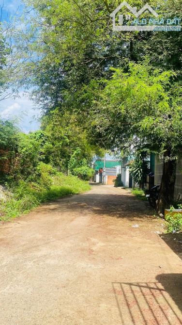 Bán đất hẻm 29 Tuệ Tĩnh 4,5x40 (tte 42m)  giá tốt