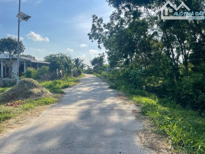 ✳️ BÁN ĐẤT VƯỜN THANH LONG TẠI XÃ HÀM MỸ - TỈNH BÌNH THUẬN