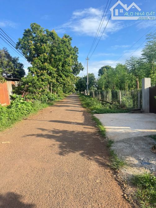 ❌ BÁN ĐẤT ĐƯỜNG B3, THÔN 4 (CƯBUA) PHƯỜNG BUÔN MA THUỘT