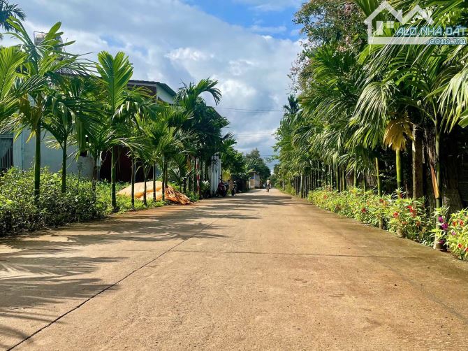 bán đất mặt tiền 5A - ngay chợ Đạt lý