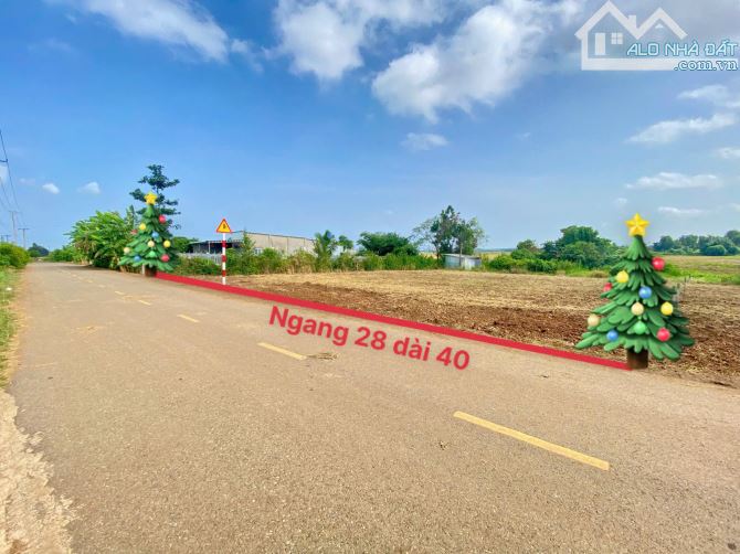 Mảnh đất 1000 m2 - 80 thổ cư Lánh Dài- Đất Đỏ- BRVT 👉🏽Ngang 28 x 40  3 mặt tiền