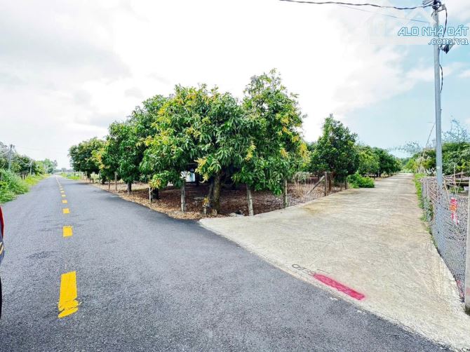 LÔ GÓC THỊ TRẤN PHƯỚC HẢI - VIEW NÚI SIÊU ĐẸP - GẦN BIỂN PHƯỚC HẢI 🌈 LÔ GÓC 1439M2
