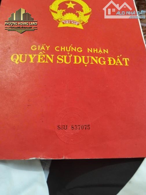 BÁN NHÀ C4 – PHƯỜNG THÀNH VINH - LÊ LỢI (Ngõ đường Trường Chinh) 111,5m2 Tây Nam - 1