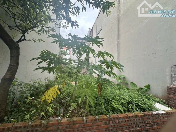 đất thôn thái bình gần cầu đông trù kết nối vin cổ loa, cầu tứ liên thuận tiện - 1