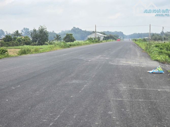 Hạ Gia 3 tỷ BÁN ĐẤT 2MT ĐƯỜNG HỒ CHÍ MINH KẾT NỐI CHƠN THÀNH-KCN ĐỨC HÒA - 1