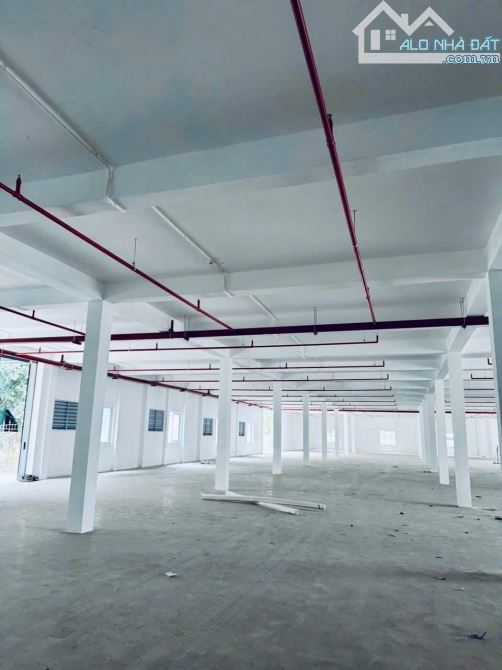 Cho thuê xưởng 2 tầng ( 1800m2) trong ccn lại yên - 1