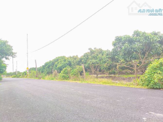 Cần bán vườn xoài 12.496m2 đất phủ hồng, mặt tiền nhựa đến 76m, cách biển 15 phút - 1