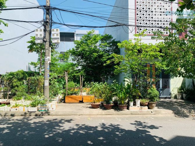 🌟 ĐẤT MẶT TIỀN PHAN THỊ NỂ KHU VIP – TRỤC THÔNG RA BIỂN, KHU DÂN TRÍ CAO 🌟 - 1