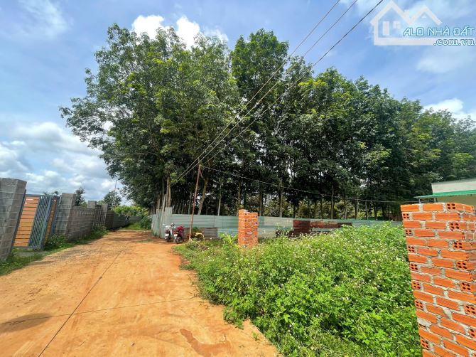 Đất ngần ủy ban phường tân an giá chỉ 950 triệu - 1
