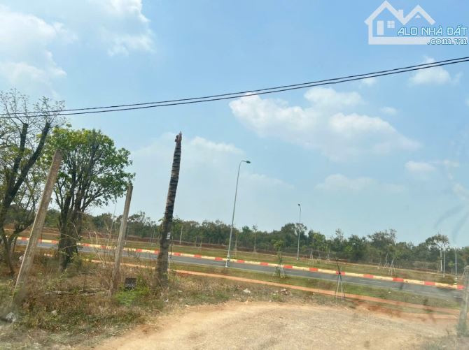 🌳 ĐẤT NHÀ VƯỜN 3 MẶT TIỀN – HẺM ĐẠI LỘ ĐÔNG TÂY – P. TỰ AN - 1