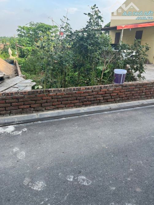🌟BÁN ĐẤT MAI LÂM – 40M² – 3 MẶT THOÁNG – VIEW SÔNG ĐUỐNG – GIÁ CHỈ 4,6 TỶ🌟 - 1