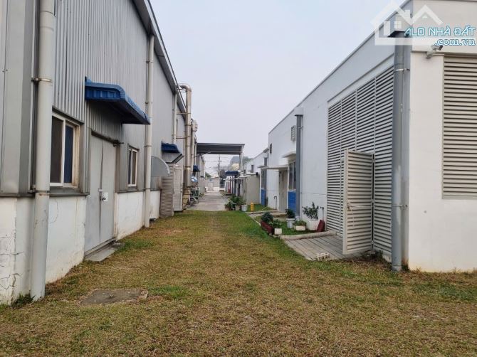Bán 10000m2 xưởng  khu công nghiệp visip2, Bình Dương - 1