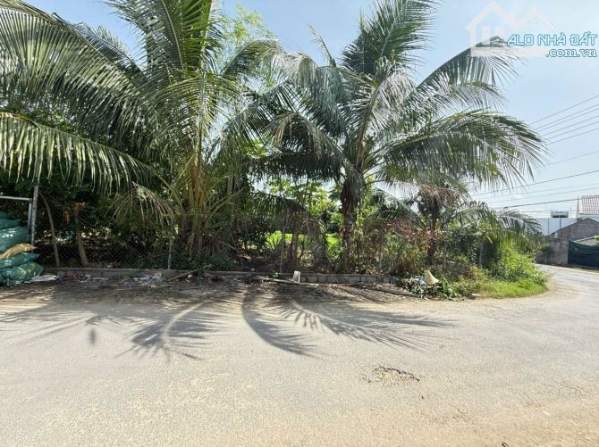 Bán đất Diên Phú – Mặt tiền đường Cầu Voi, giá chỉ 1 tỷ 050 - 1