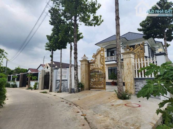 299 m2 ĐẤT VƯỜN BAO THỔ ĐƯỜNG BÊ TÔNG 6m ĐỨC HÒA TT 600 TRIỆU CHÍNH CHỦ - 1
