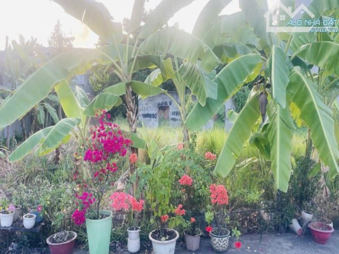 Đất Vuông đẹp Xe tải tránh 107m2 – Thanh Xuân 25 Q12 - 1