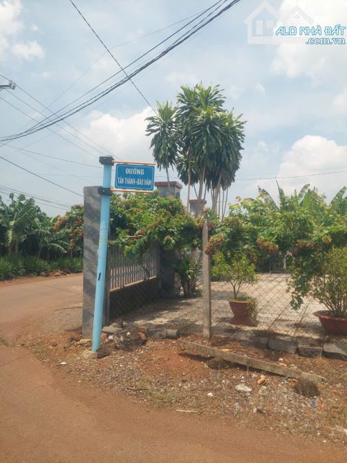 Chính chủ cần Bán nhà đất Đường Tân Thành,Xã Thanh Bình, Trảng Bom, Đồng Nai - 1
