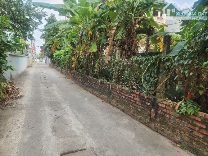 🌍NAM HỒNG_ĐÔNG ANH  THỔ ĐẤT 87M²  ....4 TỶ ✅️Mặt tiền rộng, đường 3m ✅️Khu dân trí - 1