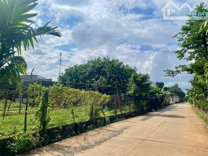 bán đất mặt tiền 5A - ngay chợ Đạt lý - 1