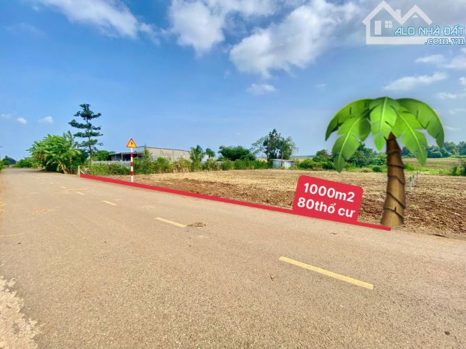 Mảnh đất 1000 m2 - 80 thổ cư Lánh Dài- Đất Đỏ- BRVT 👉🏽Ngang 28 x 40  3 mặt tiền - 1