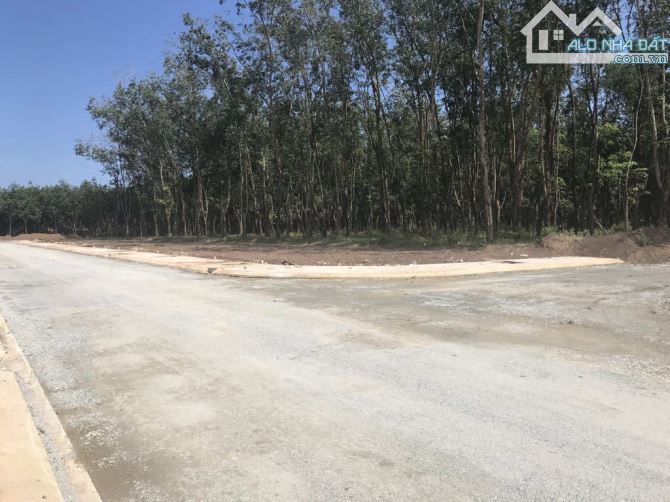 Đất 2 mặt tiền, gần KCN Đồng Xoài 3 - 1