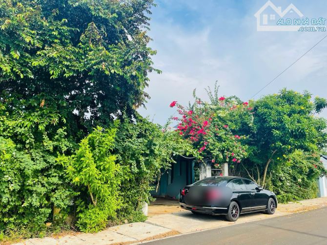 Nguyên vườn Sầu Riêng 3000m2 xã Đất Đỏ, TP HCM ( Long Tân, Huyện Long Đất ) - 1