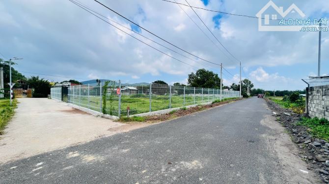 👉 1401m2 ngang 50x35 đã có 400tc  Góc 3 mt cực đẹp 📍Long Mỹ -  Đất Đỏ- BRVT - 1