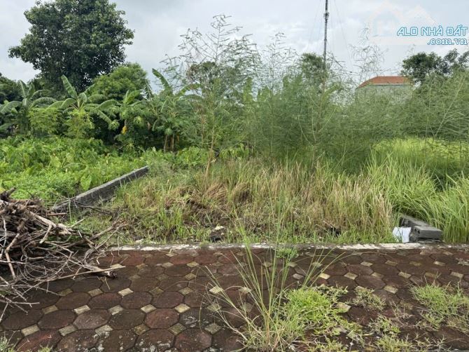 🔥 ĐẤT ĐẤU GIÁ 73M² – GIÁ 4.7 TỶ – HOÀNG XÁ, THƯỜNG TÍN – Ô TÔ TRÁNH, GẦN VÀNH ĐAI 4 - 1