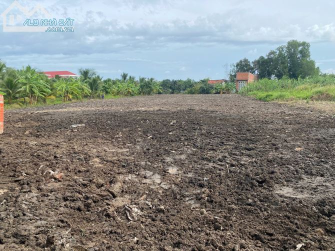 🌿 BÁN ĐẤT QUY HOẠCH DÂN CƯ MỚI – XÃ HƯNG LONG, BÌNH CHÁNH 🌿 - 5