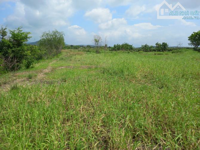 Đại Hạ Giá-Đất View Suối-Hàm Kiệm(Hàm Cường cũ)-Lâm Đồng-DT 6.900m2CLN - 2