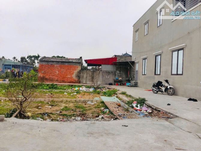 Bán đất Cốc Liễn - Minh Tân - Kiến Thụy - Hải Phòng - 2