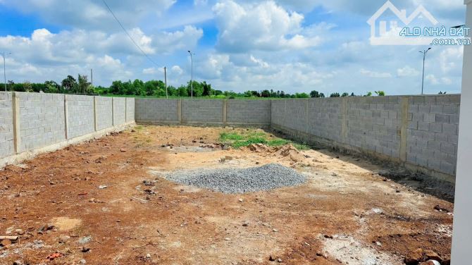 Cần bán 2 lô Đường Cách Mạng Tháng 8 Xã Đất Đỏ ngay đường tránh Ql55.BRVT - 2