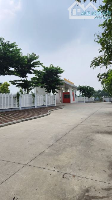 Bán gấp lô đất 100m mặt đường 10m đối diện trường học Kim Chung - 2