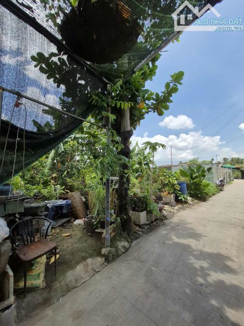 🔥🔥ĐẤT ĐỂ XÂY BIỆT THỰ VƯỜN - PHÂN LÔ - ĐẦU TƯ SINH LỜI CAO - THỔ CƯ 100% - 862M2 (16*70) - 2