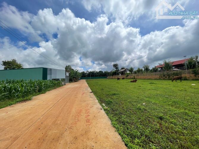 Đất ngần ủy ban phường tân an giá chỉ 950 triệu - 2