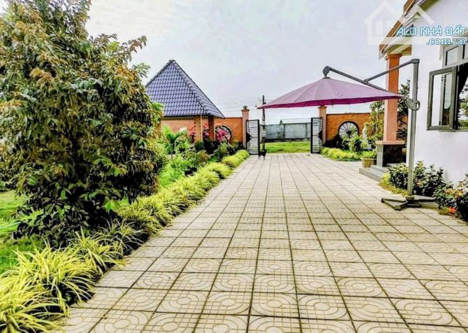 Chủ Cần Bán Nhà Vườn Để Vào Trung Tâm TP.HCM Làm Việc_ GIá 3 Tỷ Có Bớt Chút Lộc - 2