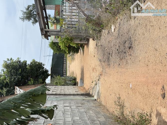 Lô đất 116m2 cách đại lộ Hùng Vương 50m, sổ hồng riêng, thổ cư - 2