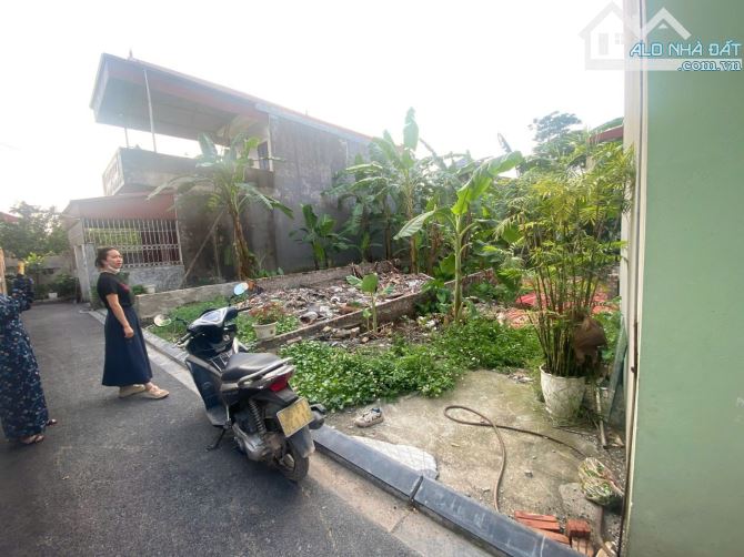 Cực hiếm 80m2 đất Hải Bối sát thành phố thông minh giá chỉ 59,5 triệu/m2 - 2
