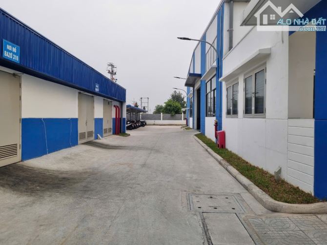 Bán 10000m2 xưởng  khu công nghiệp visip2, Bình Dương - 2