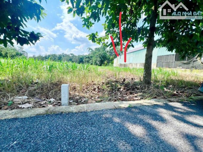 Bán đất thổ cư 164m mặt tiền đường nhựa,đối diện khu thể dục thể thao. - 2